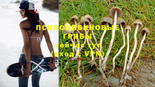 а пвп мука Снежногорск