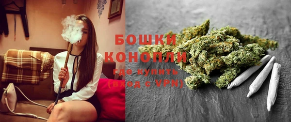PSILOCYBIN Дмитриев
