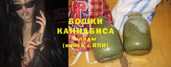 PSILOCYBIN Дмитриев