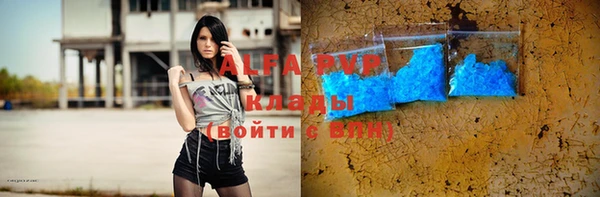 гашик Елизово
